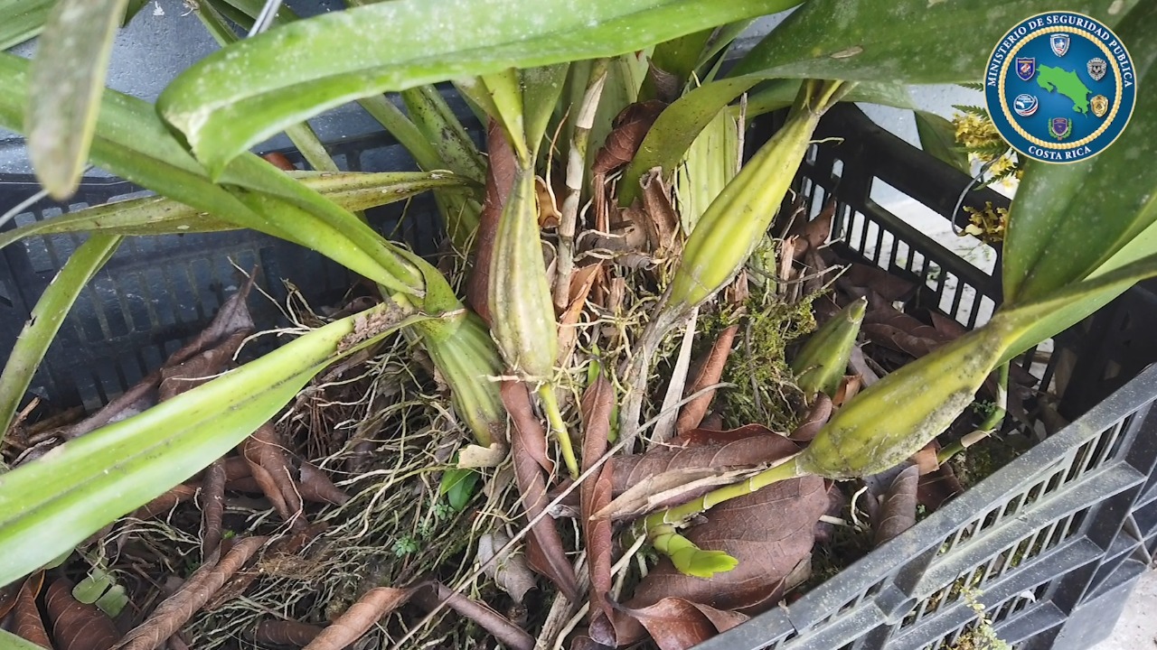 Foto: Ministerio de Seguridad Pública