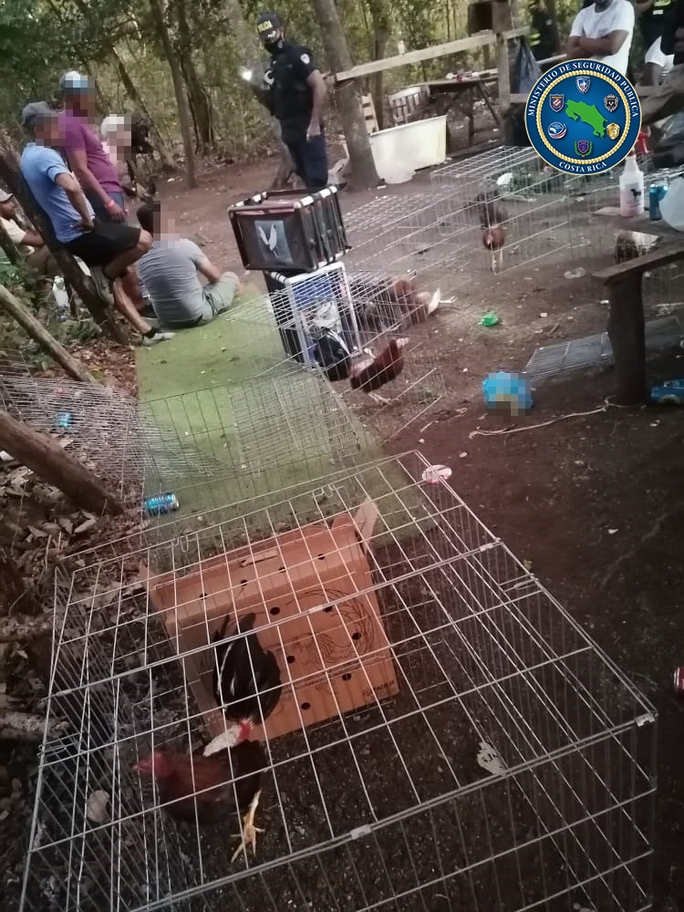 Foto: Ministerio de Seguridad Pública