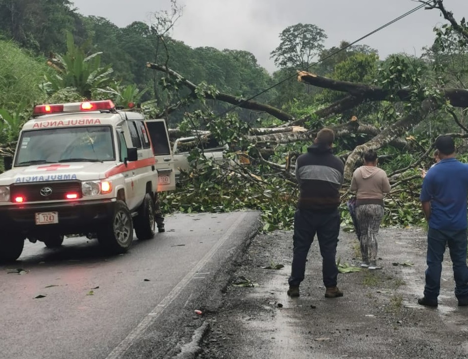 Ruta 32 cerrada por caída de material en la vía 