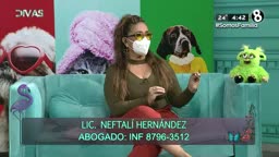 Divas programa completo 