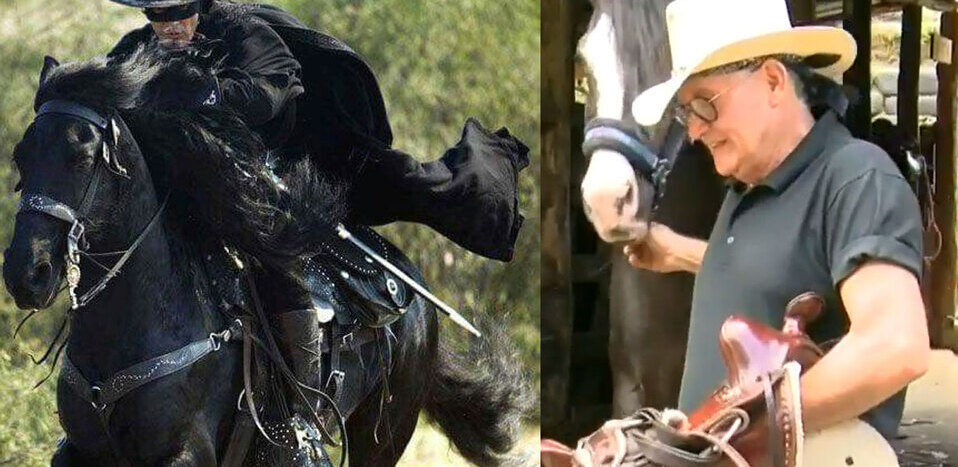 Tico entrenó caballo que se usó para película de El Zorro con Antonio Banderas Tico entrenó caballo que se usó para película de El Zorro con Antonio Banderas