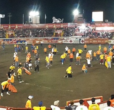 Foto: Zapote. Foto: Zapote.