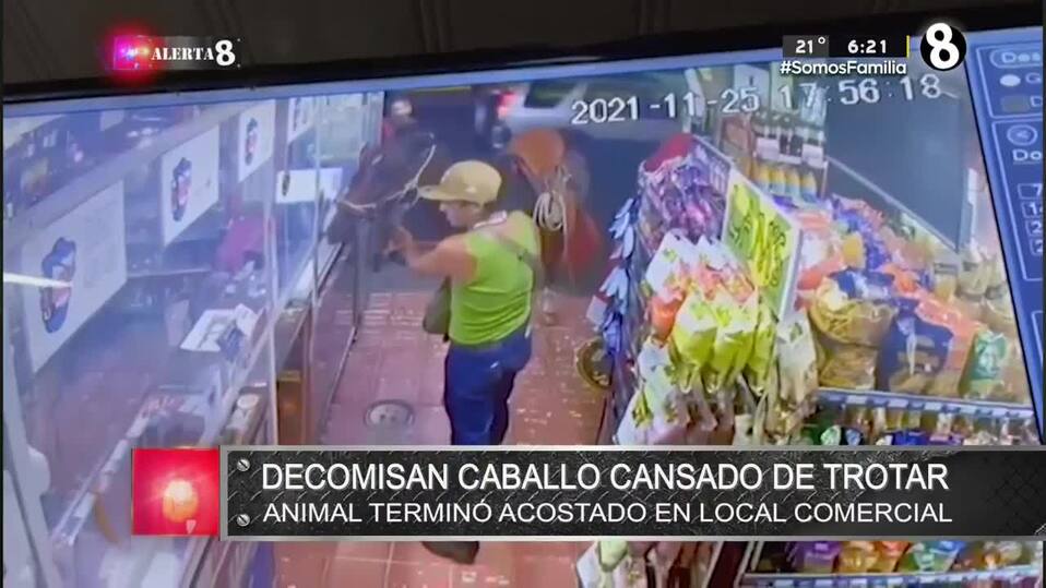 Alerta 8, 26 de noviembre de 2021 Alerta 8, 26 de noviembre de 2021