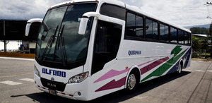 La única manera en que un animal podrá viajar en el transporte público es la amparada por ley en caso de las personas no videntes u otro tipo de disca La única manera en que un animal podrá viajar en el transporte público es la amparada por ley en caso de las personas no videntes u otro tipo de disca