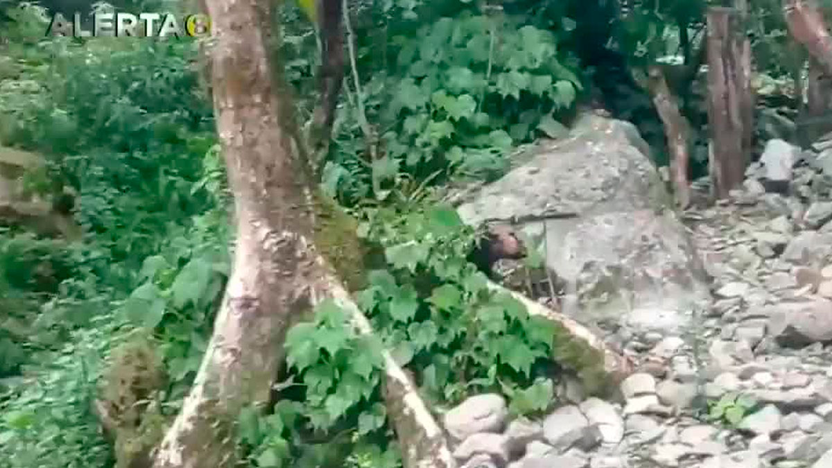 Pico Blanco tiene una altura de 2.271 metros Telediario Costa Rica