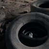 Salud realizará una campaña de recolección de llantas. (Freepik) Salud realizará una campaña de recolección de llantas. (Freepik)