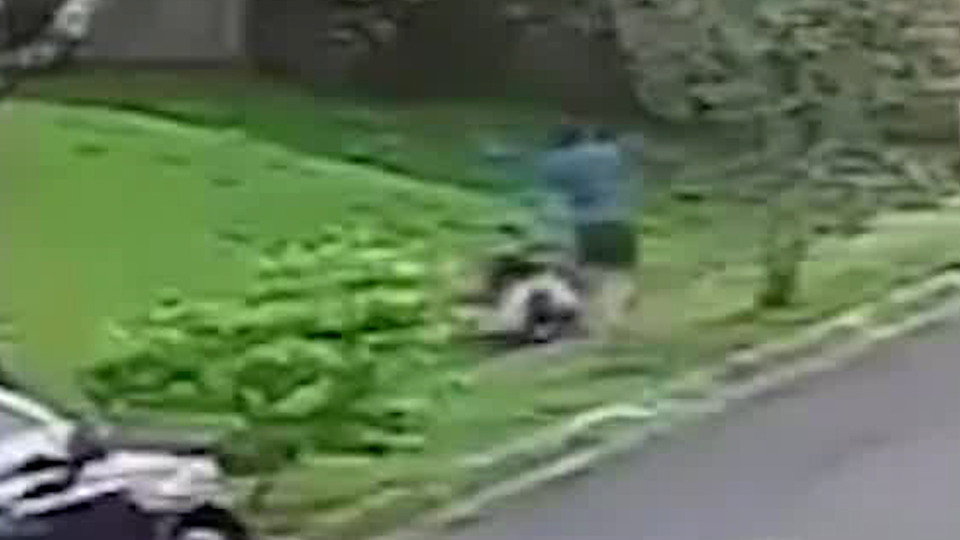 Mujer y su hijo resultan heridos tras ataque de perro | VIDEO