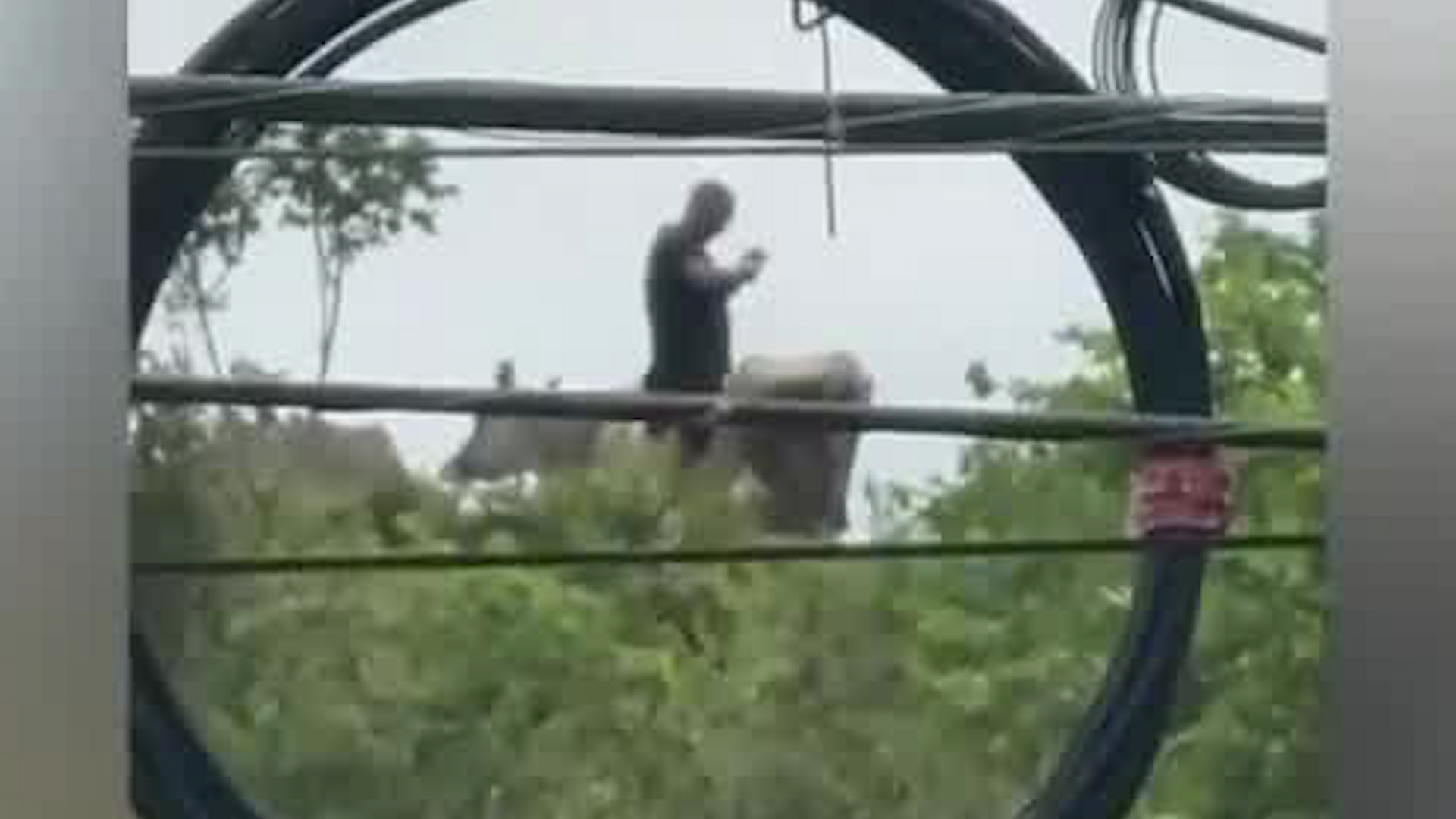Hombre acciona arma en vía pública en Oreamuno | VIDEO Hombre acciona arma en vía pública en Oreamuno | VIDEO