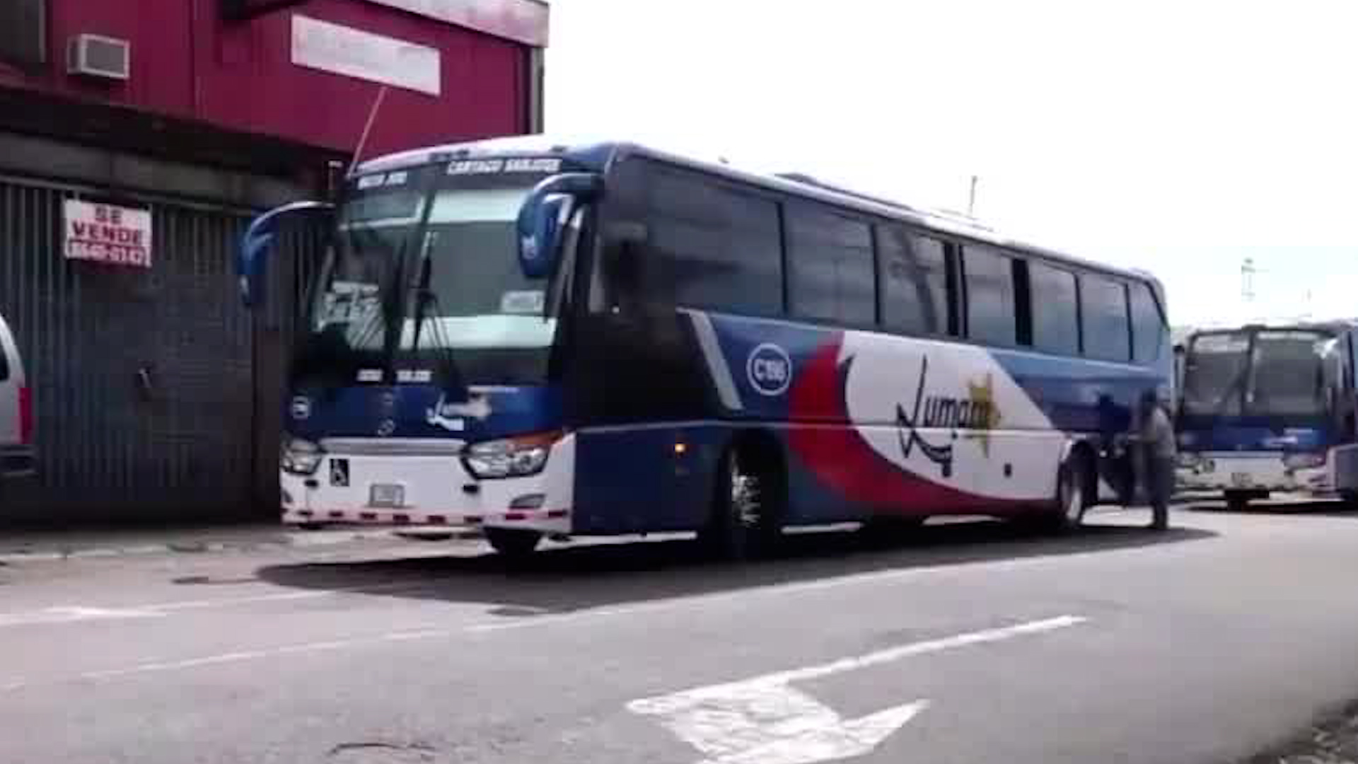 Romería 2025: Reportan largas filas en terminales de buses de Cartago