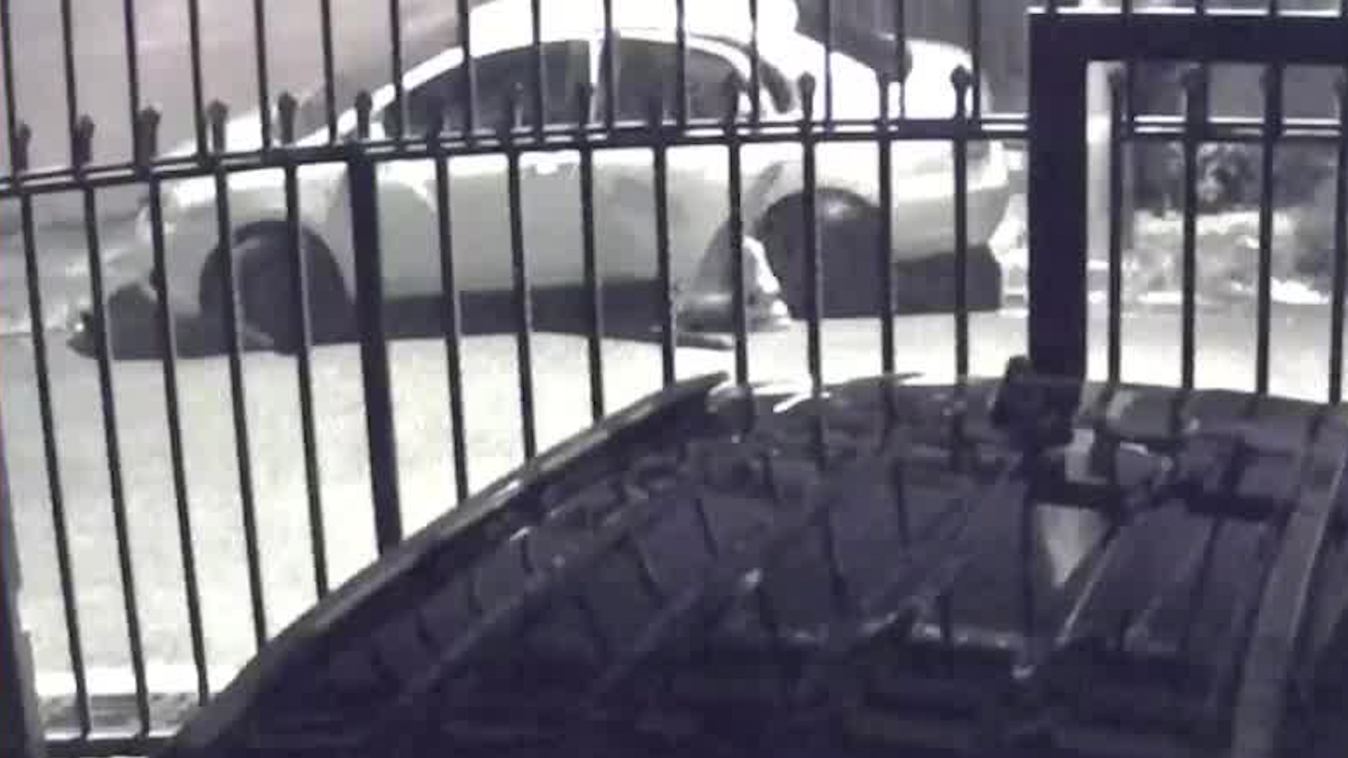 Mujer paga más de un millón por recuperar carro