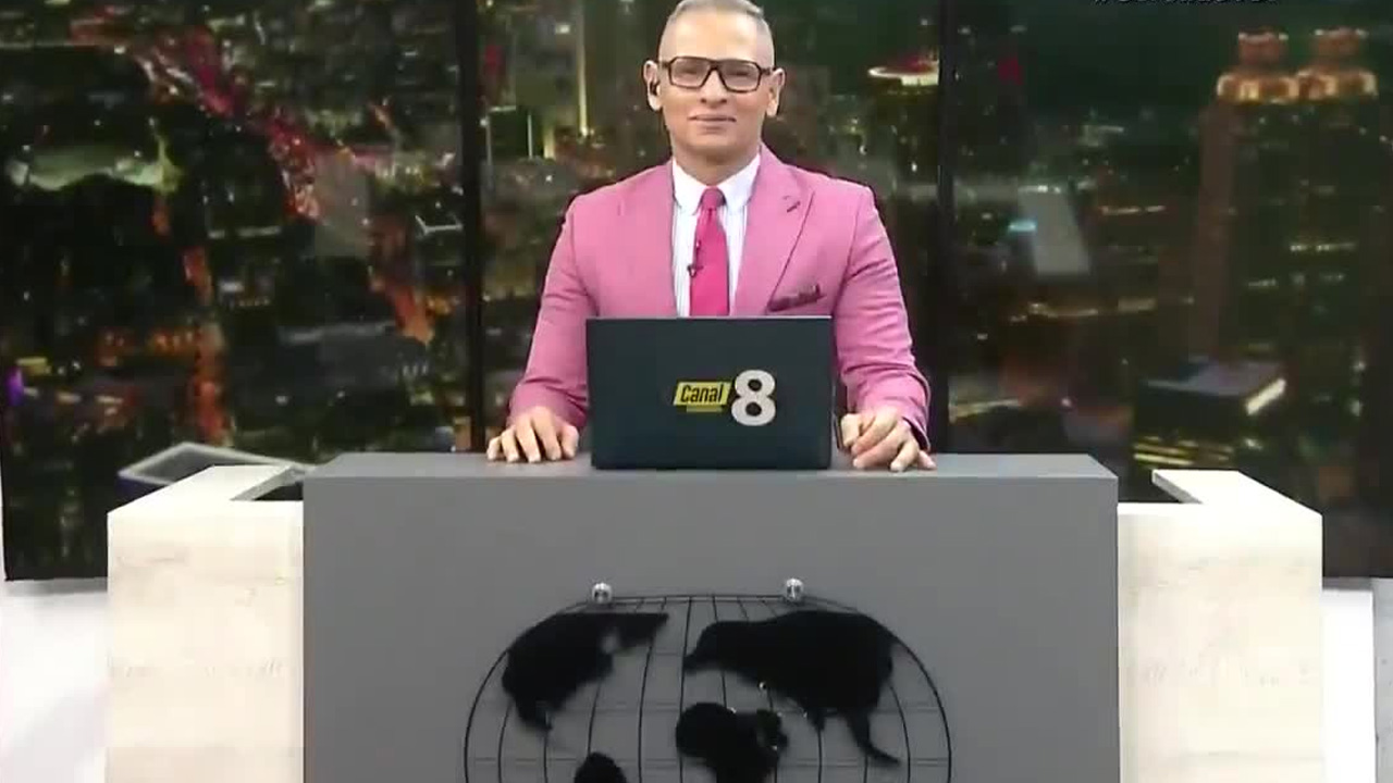 Telediario Internacional con Alejandro Ramírez, 05 de agosto de 2025