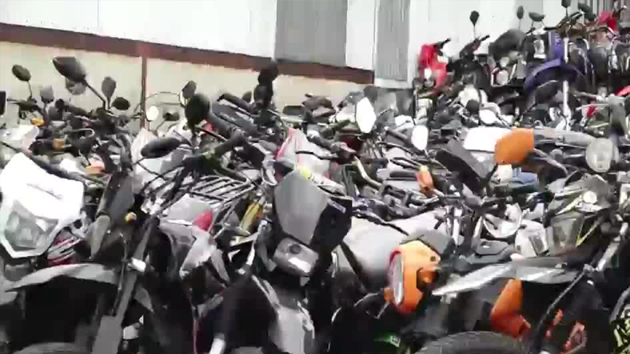 Autoridades buscan acabar con picones