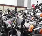 Autoridades buscan acabar con picones