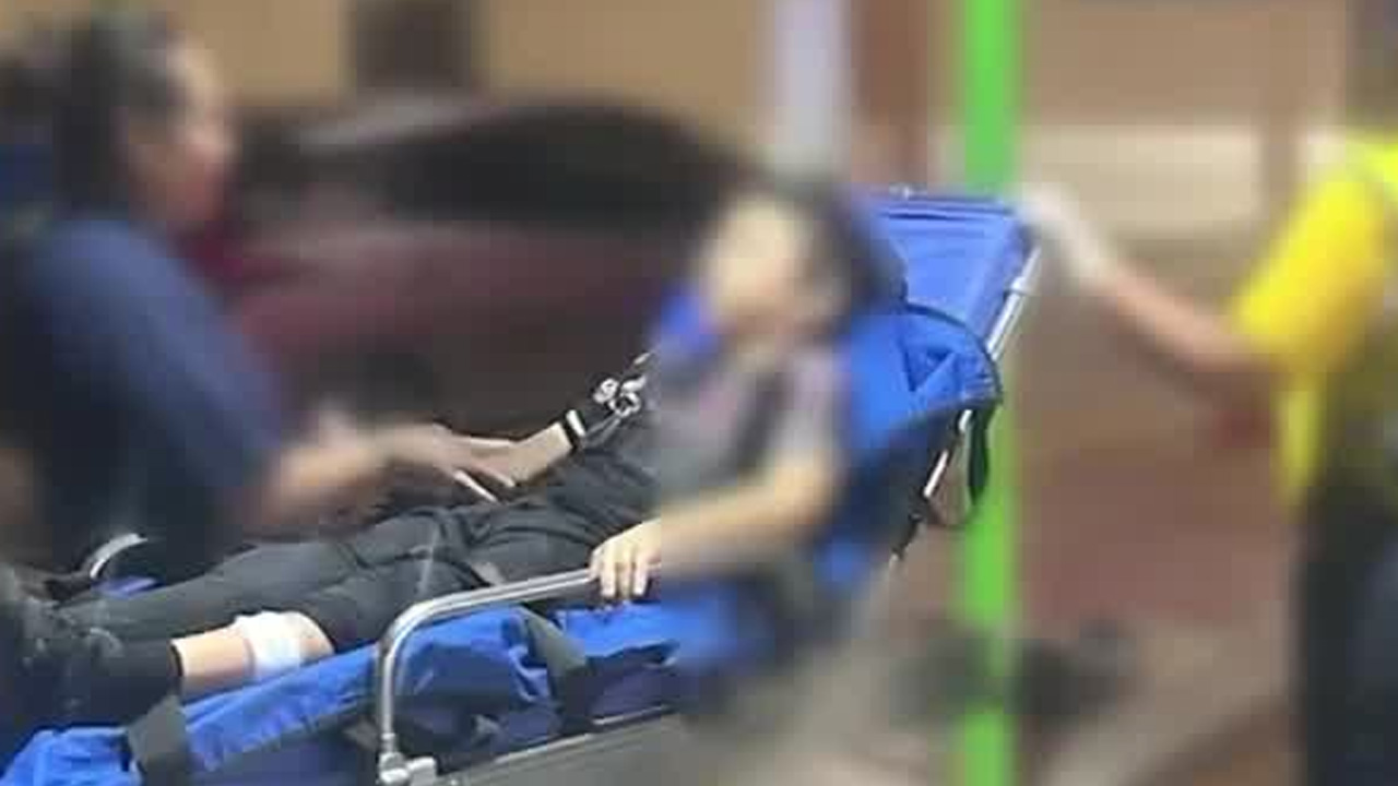 Esto dijo la madre de niño mordido por perro Esto dijo la madre de niño mordido por perro