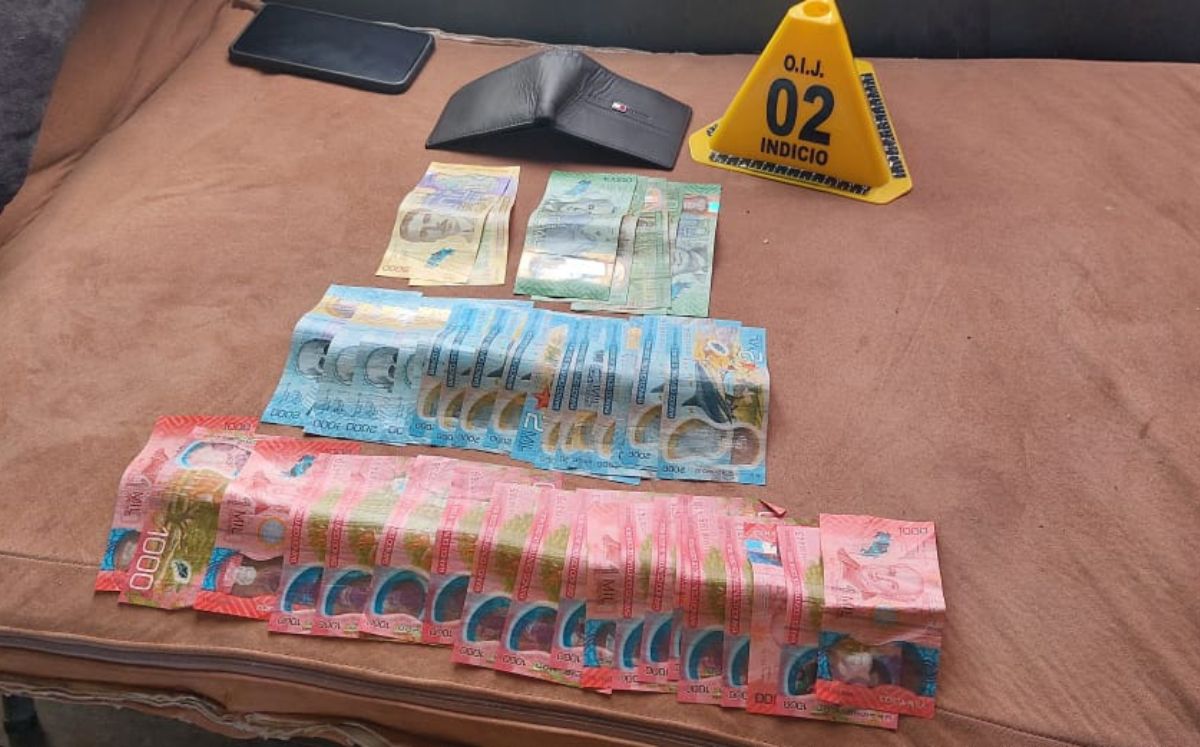 Evidencia recolectada por los agentes judiciales. (OIJ)