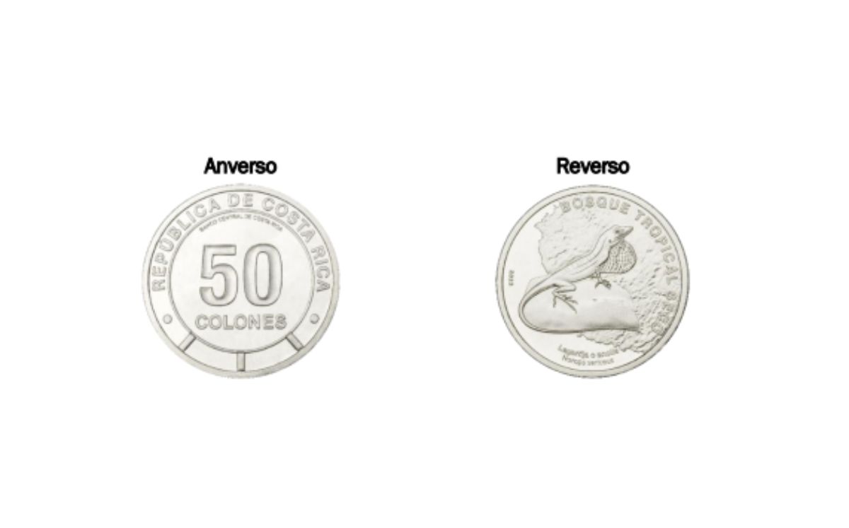 Moneda de 50 colones de circulación. (BCCR)