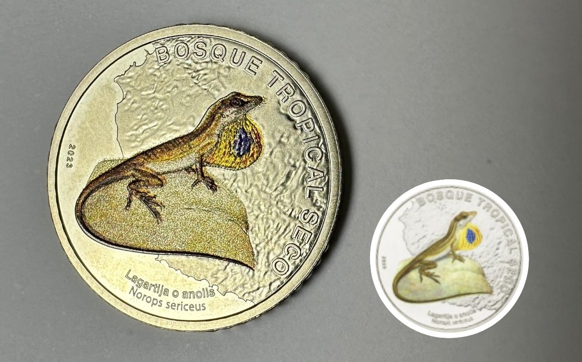 Solo venderán dos monedas por persona. (BCCR)