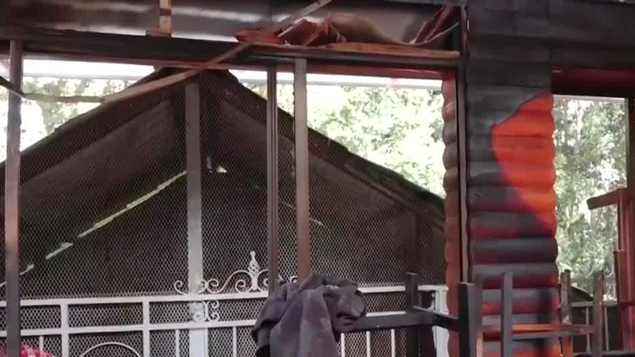 Hombre narra momento en que incendio consumió su restaurante