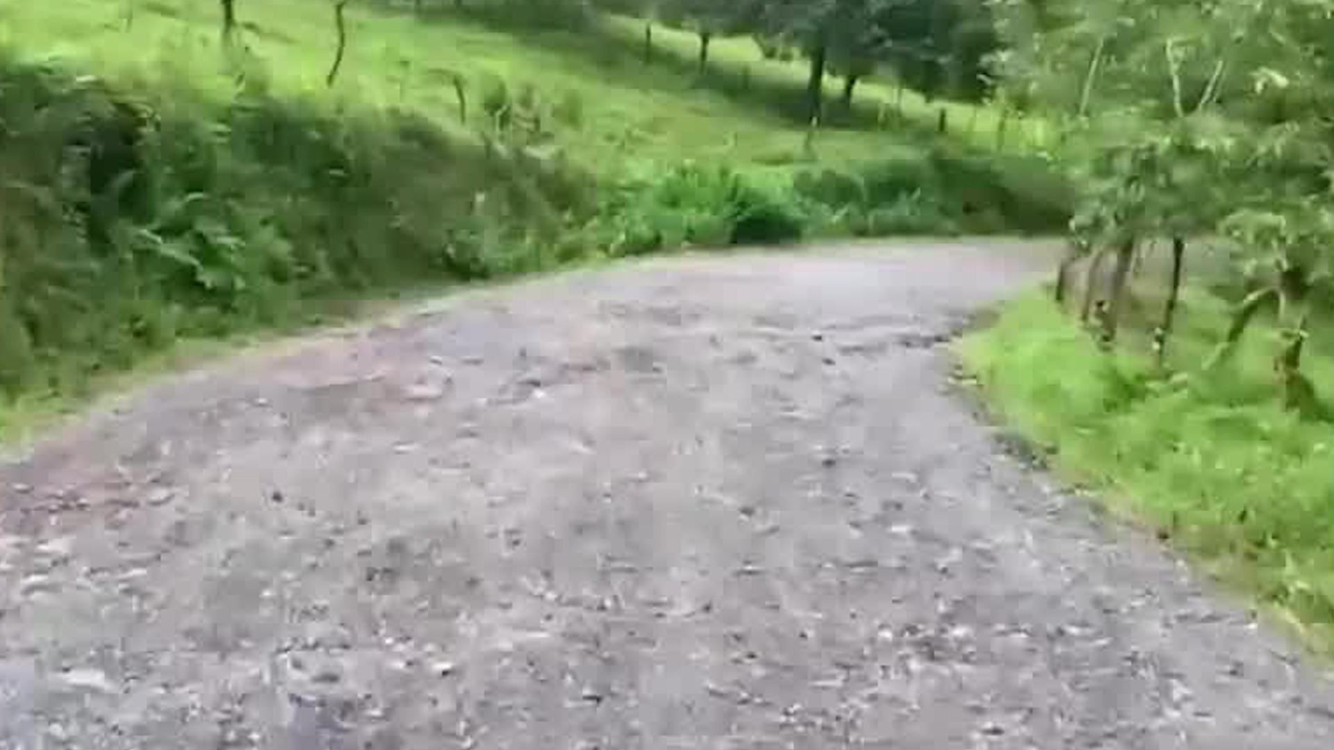 Vecinos de Cinchona exigen asfaltar camino de lastre