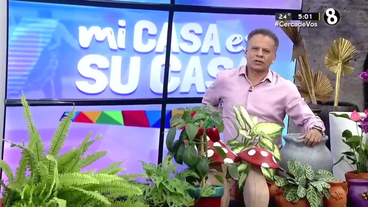 Mi Casa es su Casa, 01 de septiembre de 2025
