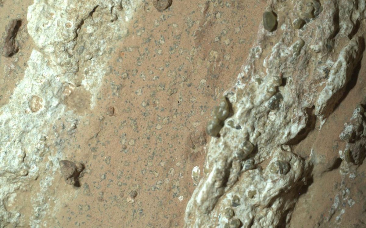 La roca fue recolectada por róver Perseverance. (NASA)