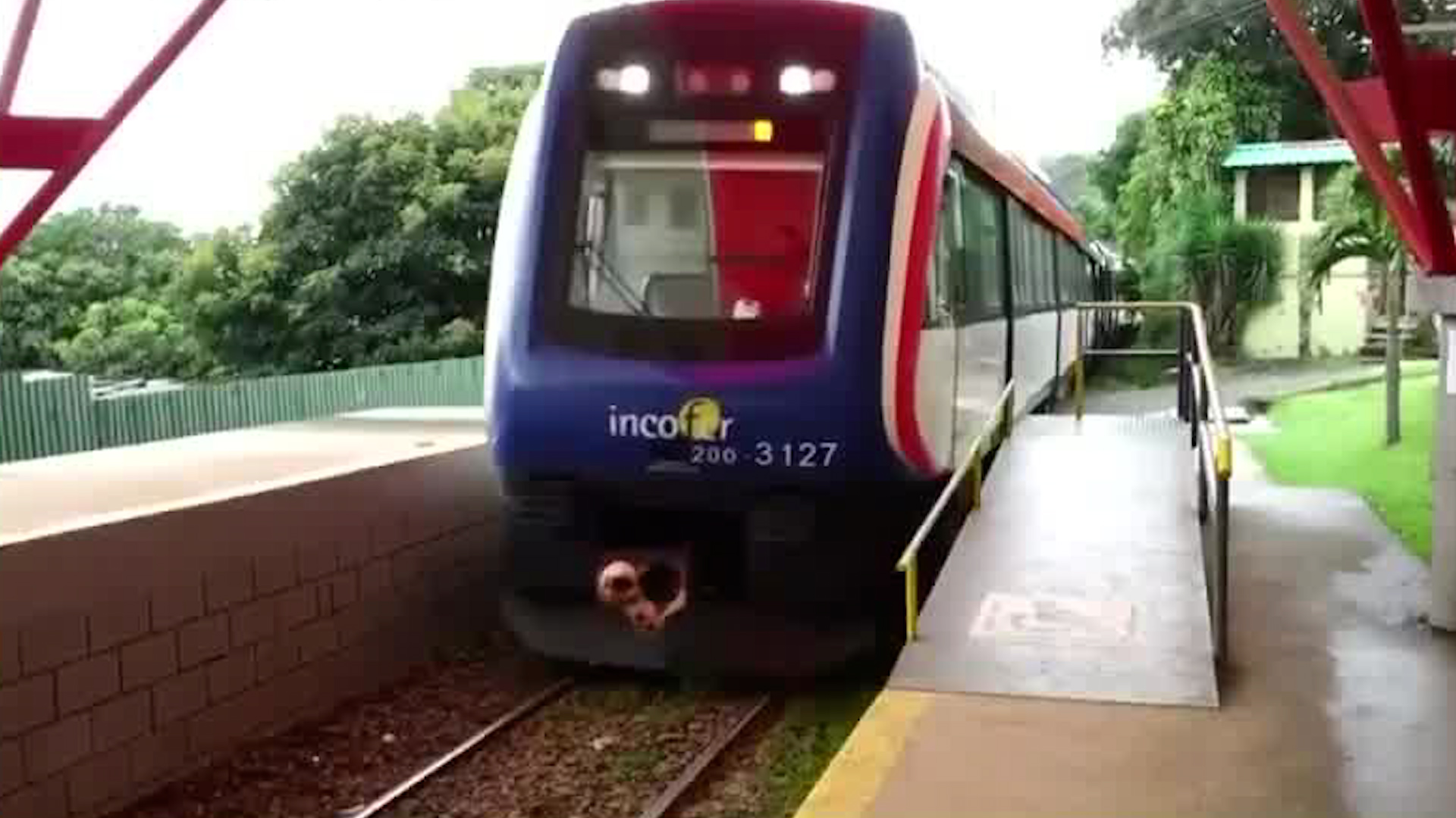 Tren llegaría al centro de Paraíso de Cartago en 2026
