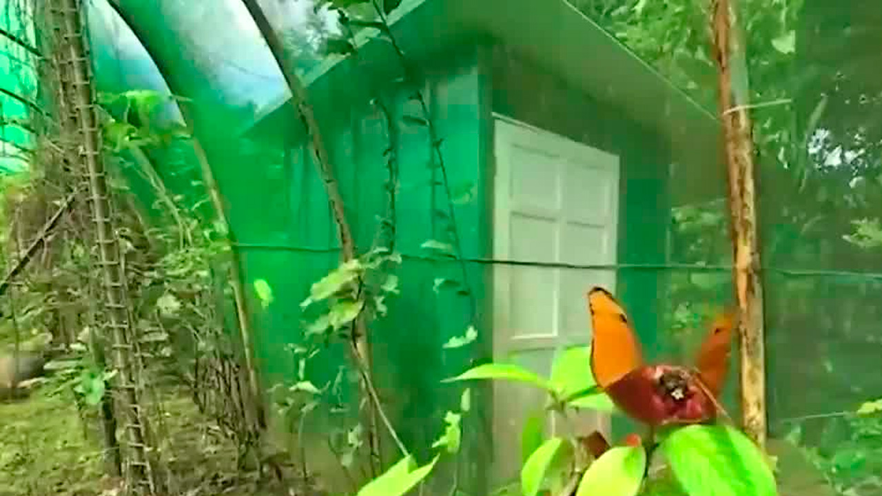 Quepos vive importante transformación