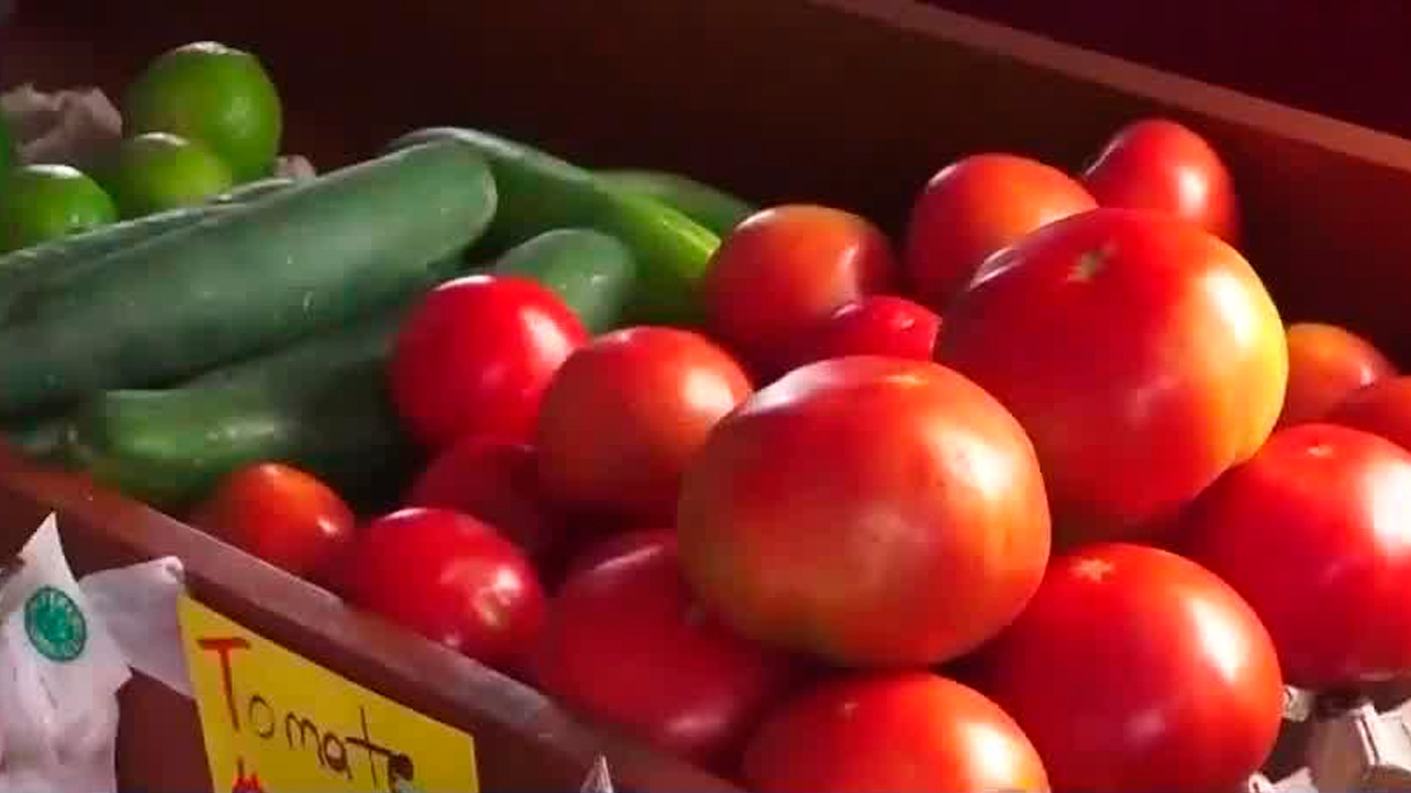 Precio del tomate reporta importante caída