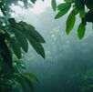 Continuará el ambiente de inestabilidad y alto contenido de humedad. (Frrepik)