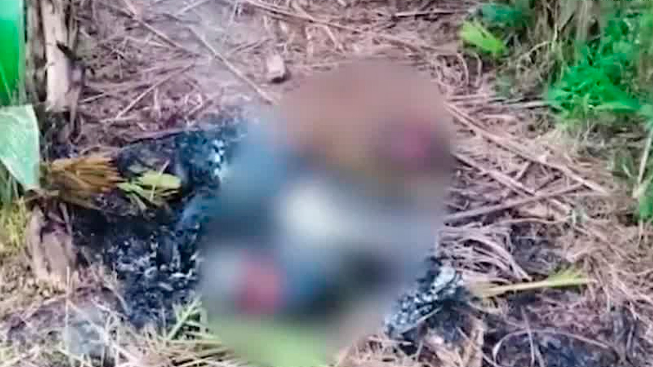 Hallan cuerpo mutilado y carbonizado en Aserrí