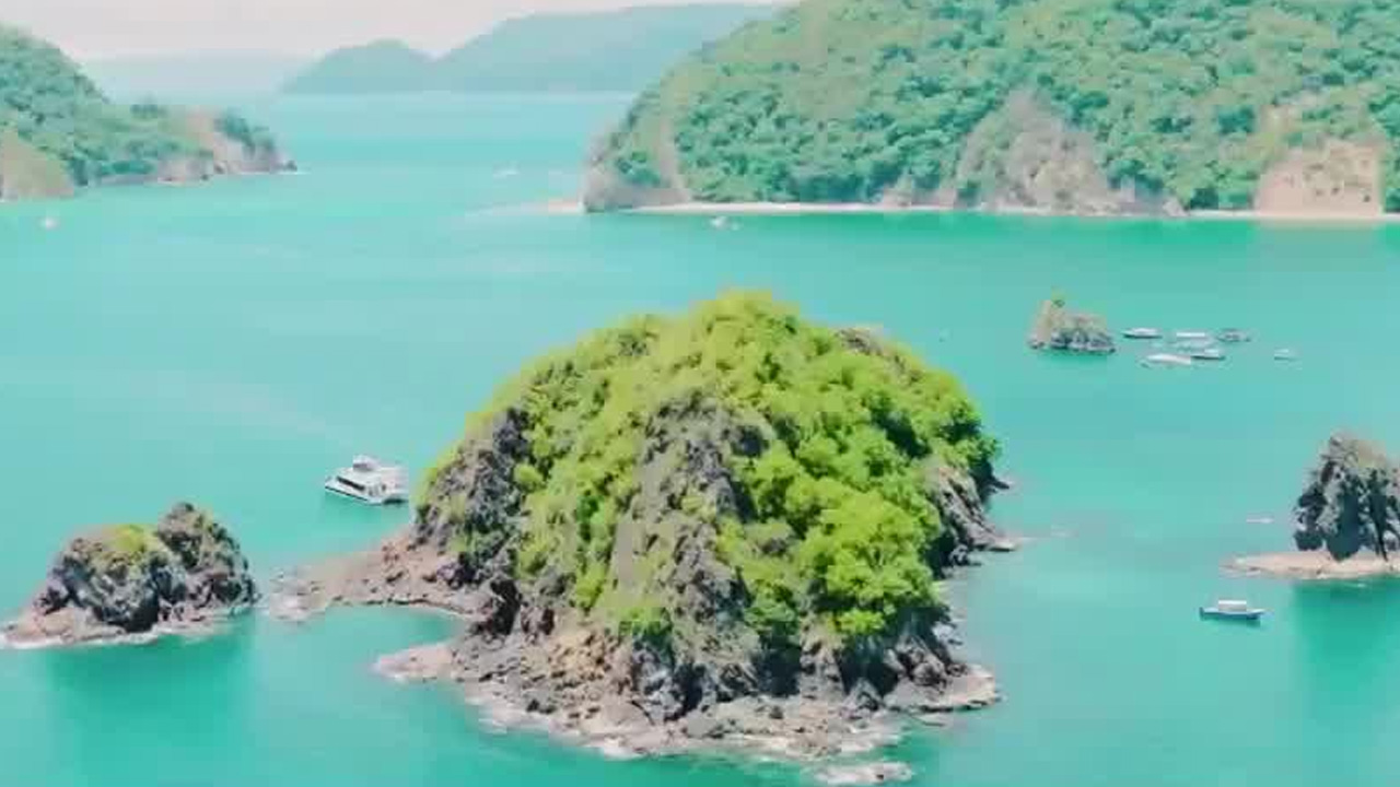 “Sin Pasaporte en el Puerto”, el nuevo programa de Canal 8