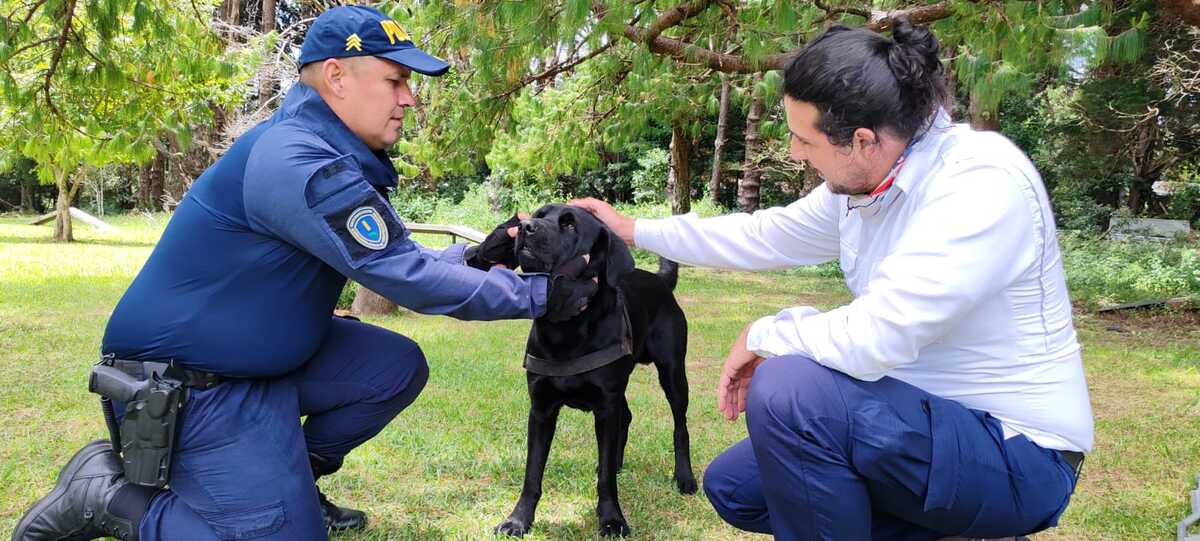 Cuerpos de primera respuesta se capacitan en primeros auxilios