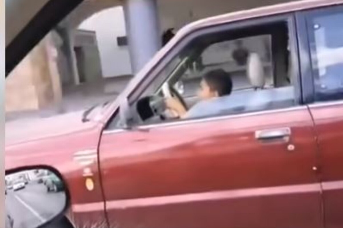 Niño de 9 años sorprende al conducir una camioneta en León