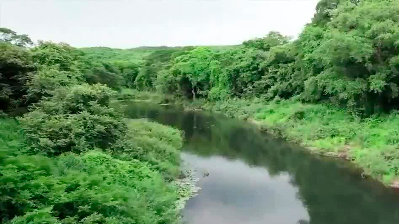 Restos de fármacos contaminan fuentes de agua Restos de fármacos contaminan fuentes de agua