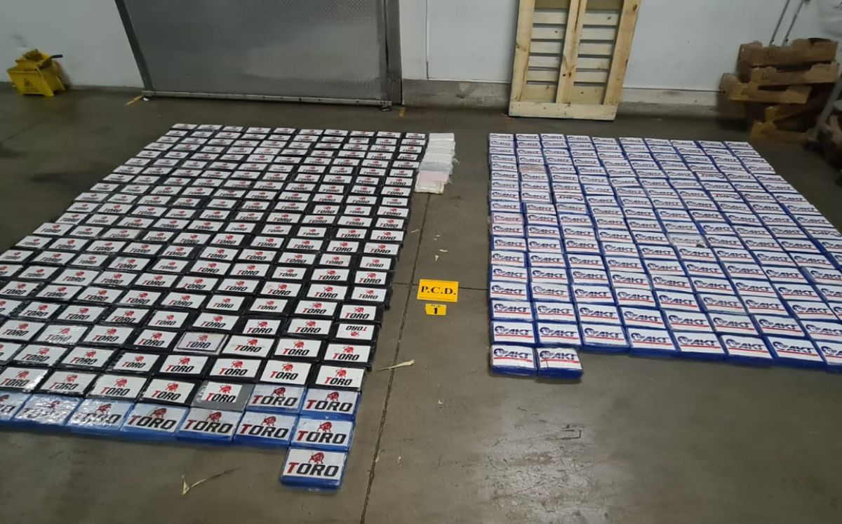 Autoridades detuvieron al sospechoso por presunta vinculación de contenedor con cocaína en el puerto de Moín (PCD). Autoridades detuvieron al sospechoso por presunta vinculación de contenedor con cocaína en el puerto de Moín (PCD).