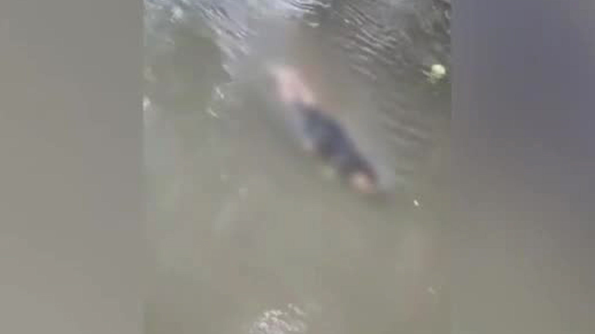 Hallan cuerpo de hombre flotando en río de Jacó Hallan cuerpo de hombre flotando en río de Jacó