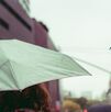 Persisten las lluvias en gran parte del país este miércoles. (Freepik) Persisten las lluvias en gran parte del país este miércoles. (Freepik)