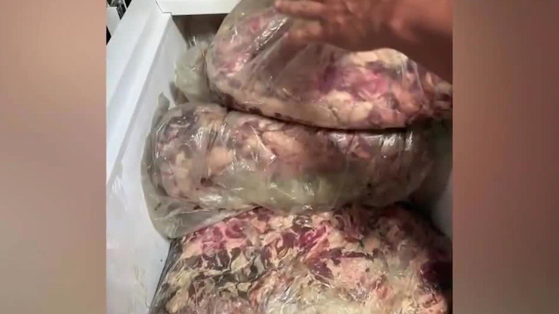 Senasa decomisa 1300 kilos de carne en mal estado Senasa decomisa 1300 kilos de carne en mal estado