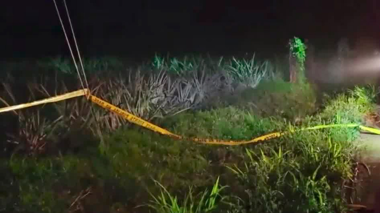 Triple homicidio sacude San Sebastián