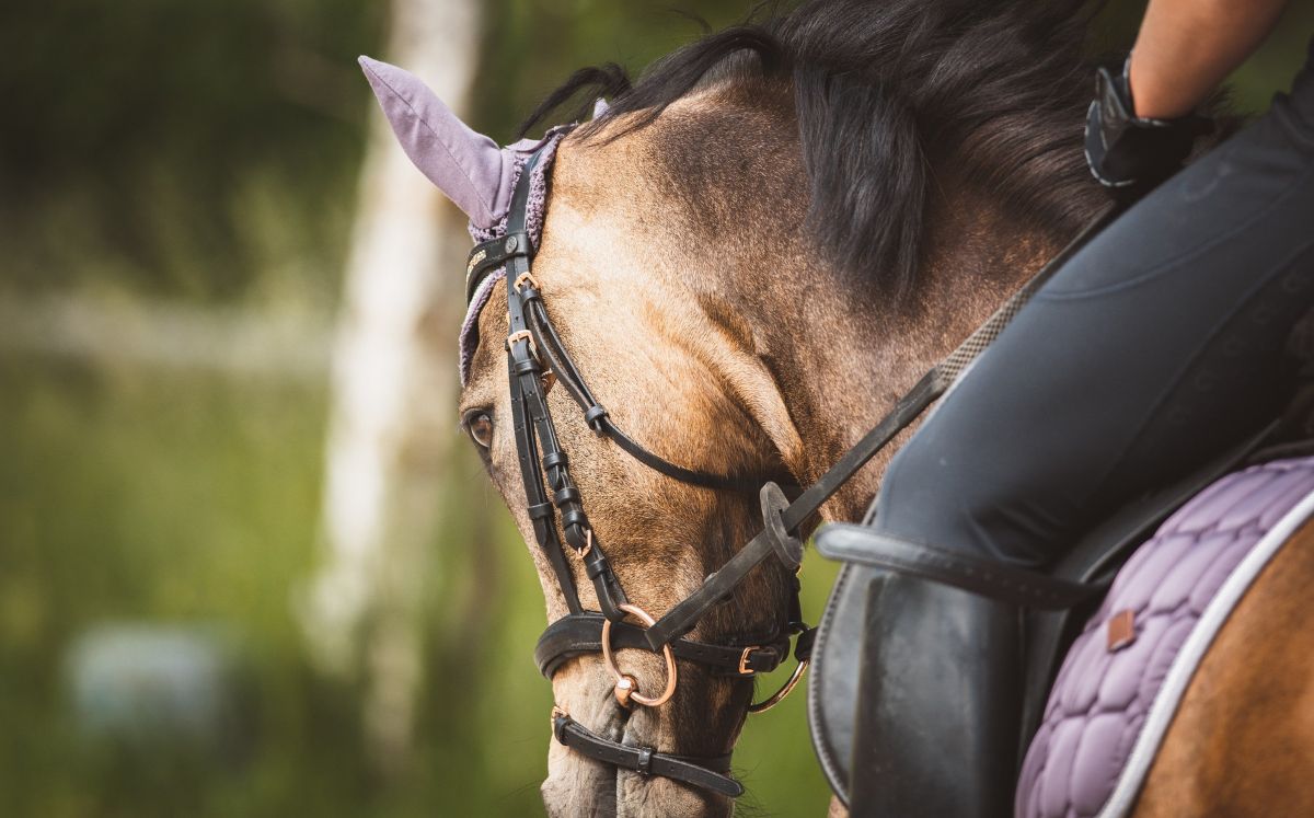 Las calles del centro de Cartago se preparan para una celebración de la herencia ecuestre costarricense