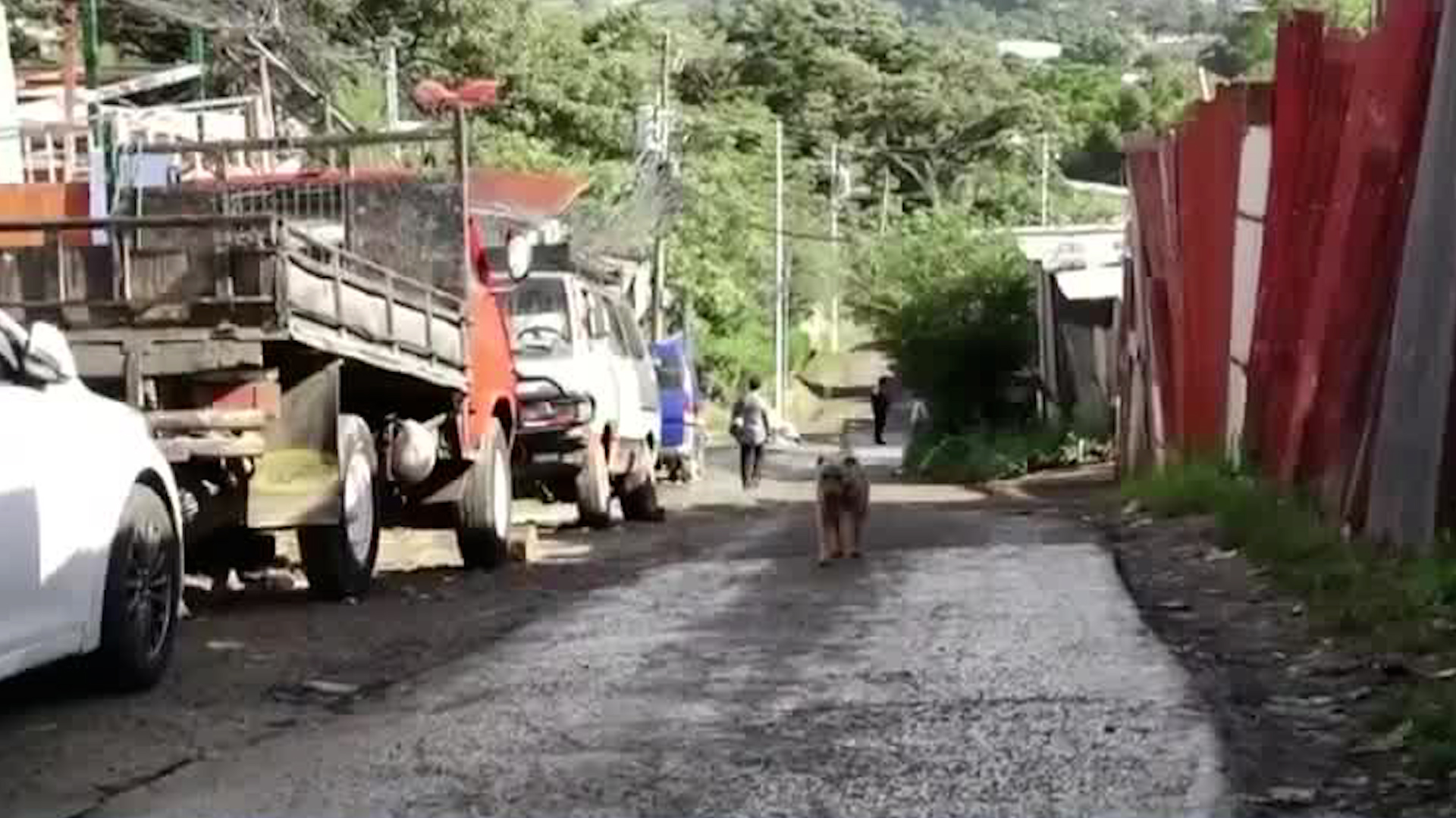 Hombre fallece tras 21 disparos