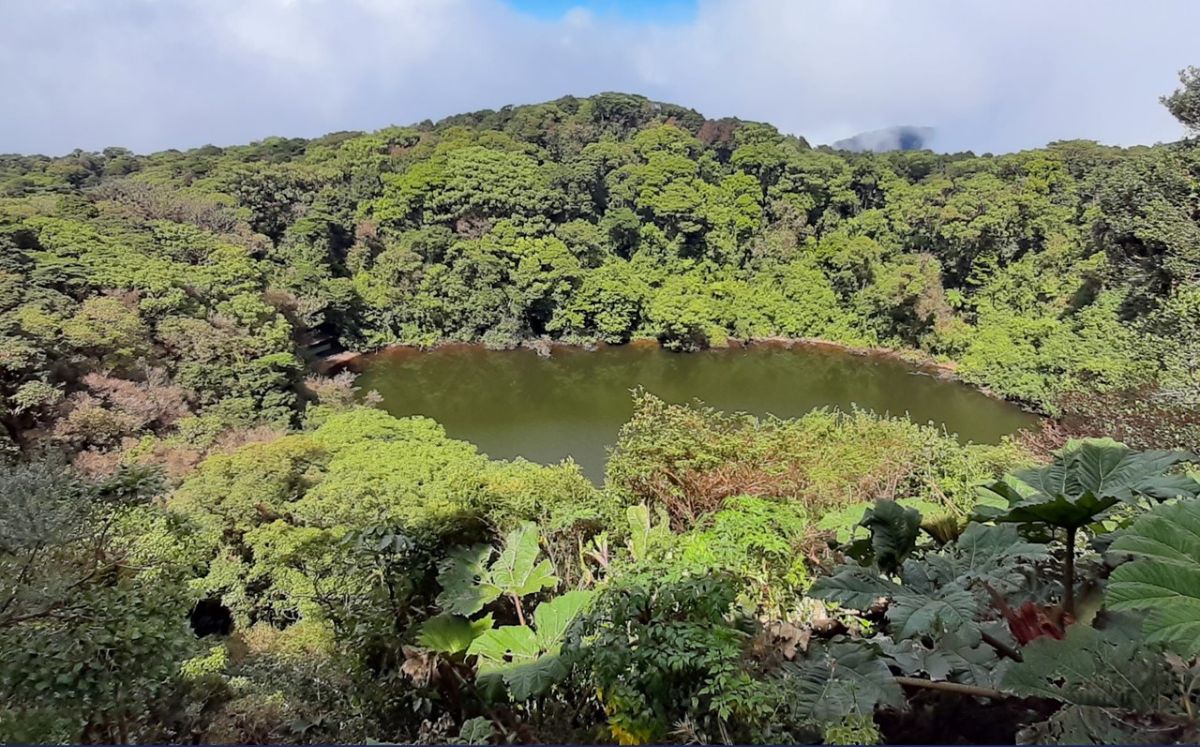 Afecta también el mantenimiento de senderos y la seguridad de los visitantes. (Sinac)