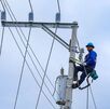 Suspensión del servicio eléctrico, martes 27 de octubre. (CNFL) Suspensión del servicio eléctrico, martes 27 de octubre. (CNFL)