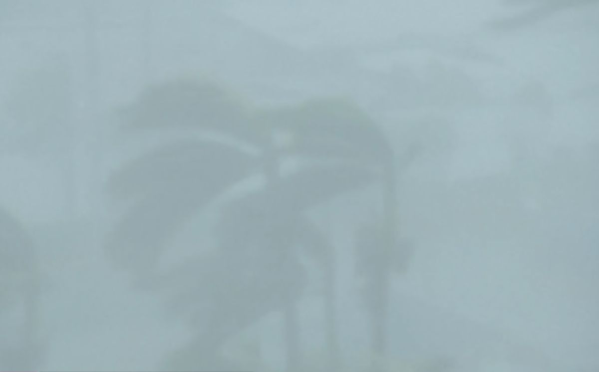 Huracán Melissa afecta Jamaica.