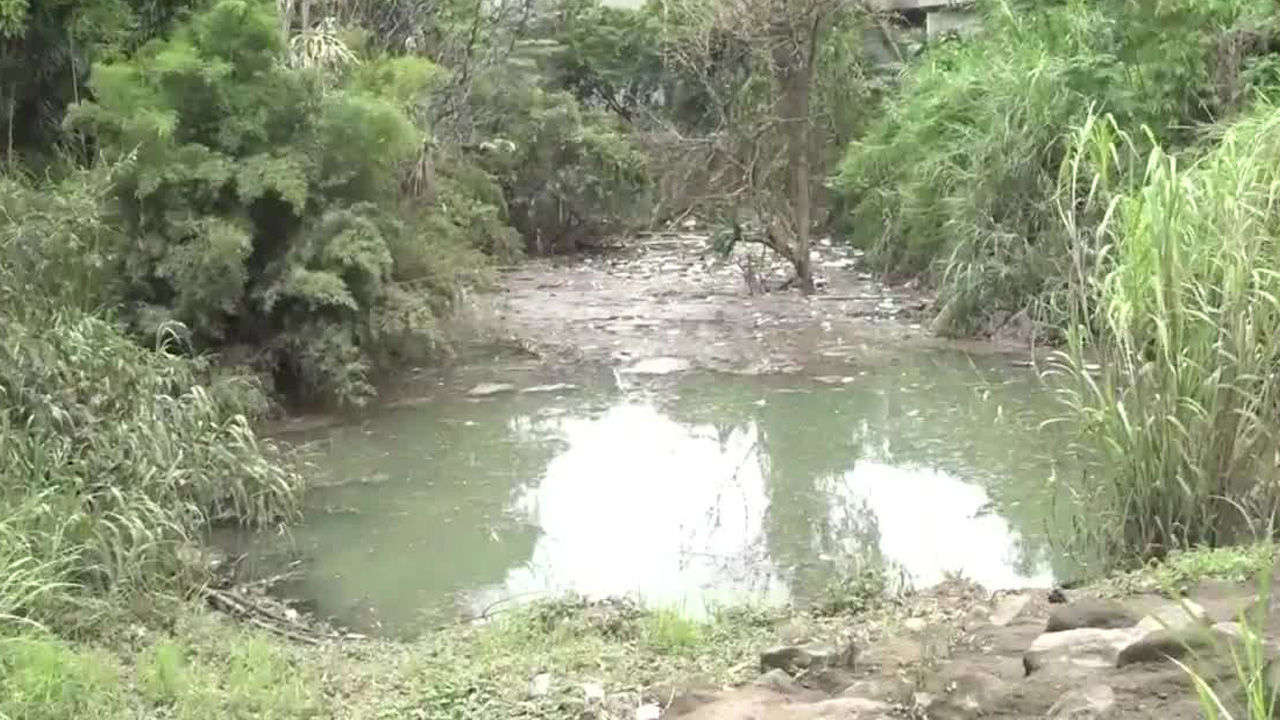 UCR monitorea quebrada Los Negritos