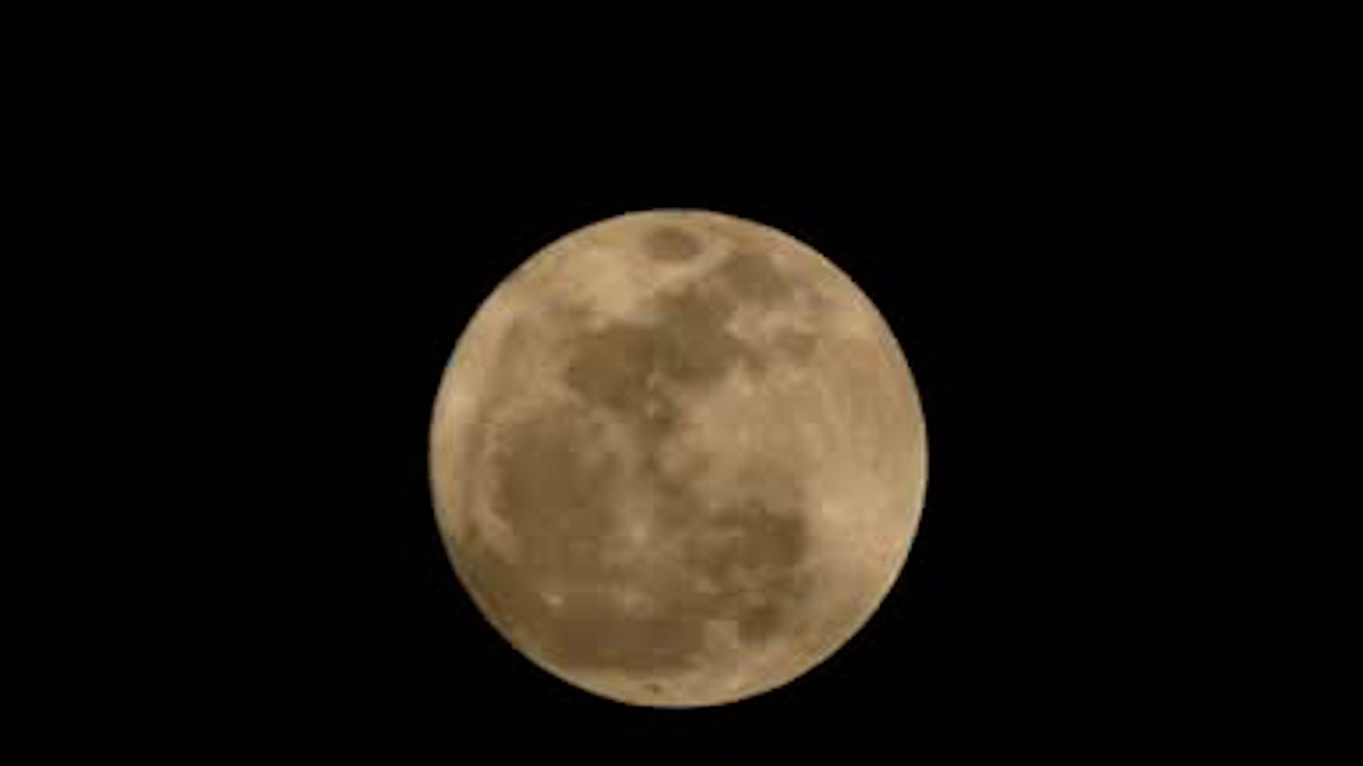 Superluna 2025: Se podrá ver el miércoles 5 de noviembre Superluna 2025: Se podrá ver el miércoles 5 de noviembre