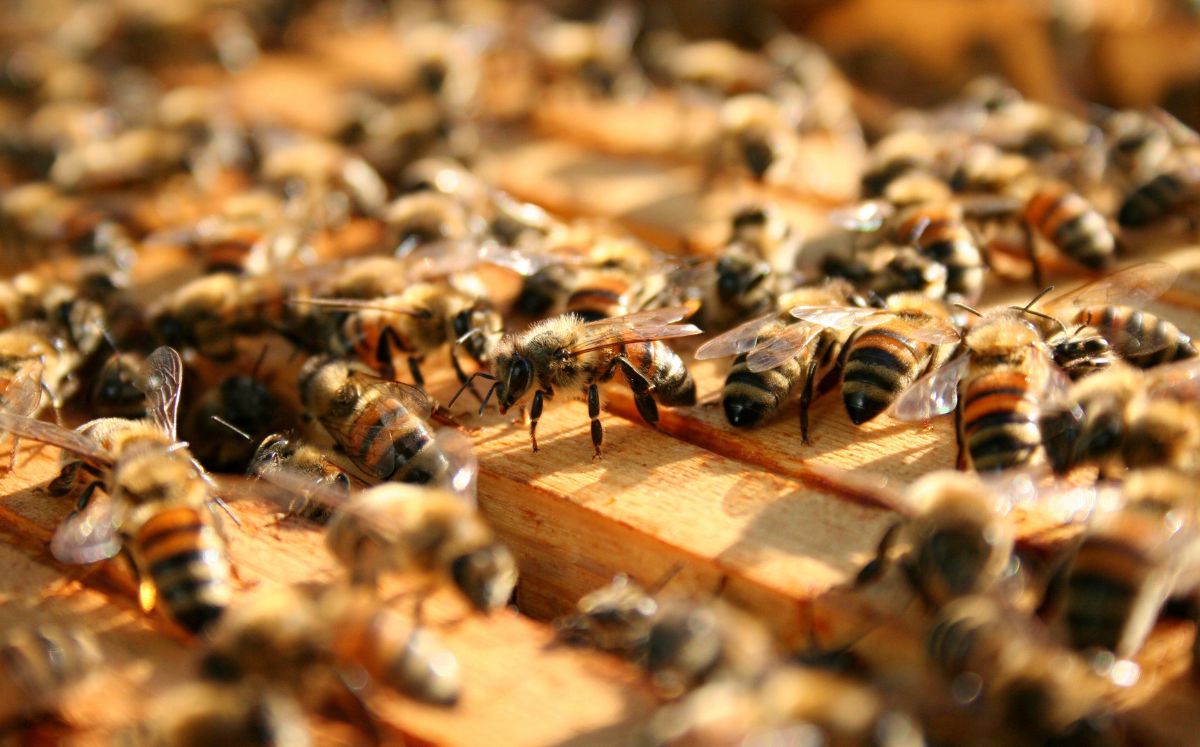 Uno de los pacientes fue trasladado en condición crítica.