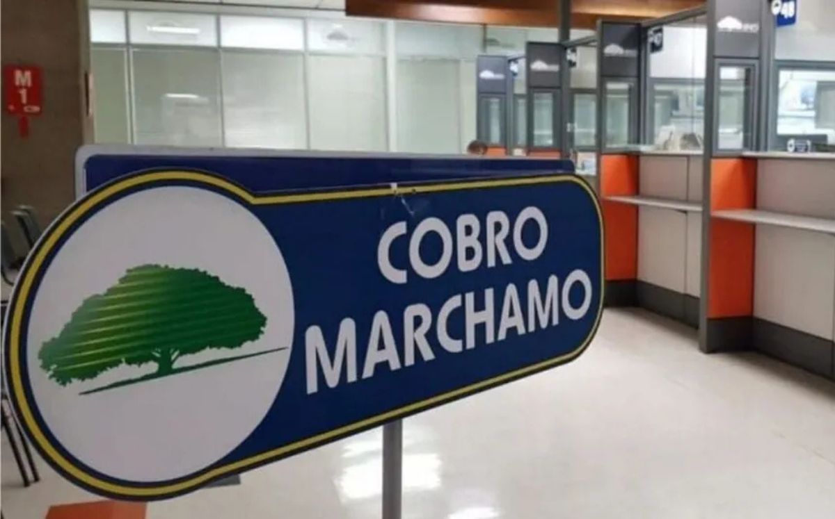 Ya está habilitada la consulta del Marchamo 2026.