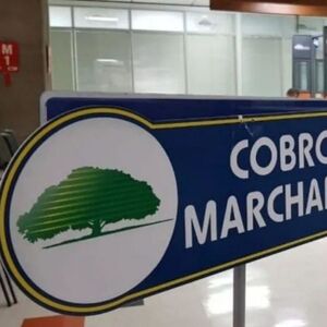 Ya está habilitada la consulta del Marchamo 2026.