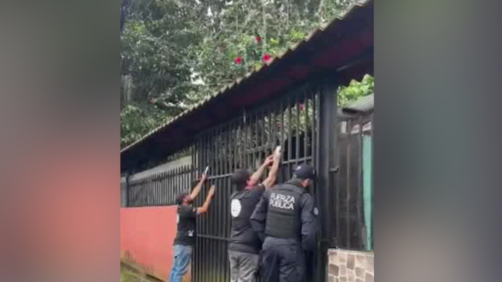 Vecinos denuncian maltrato animal en Tres Ríos